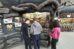 5ae2ff76-fc83-48c9-a4ed-cde95d2b3796