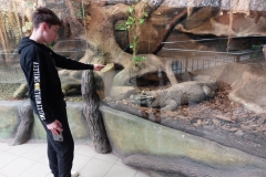 7eba0eaf-6035-47bf-b0c2-4bcd71776129