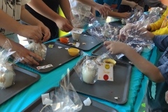 IMG20250321120249