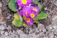 IMG_20210318_163635