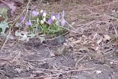 IMG_20210318_164726