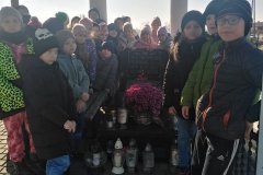 IMG_20241106_100953