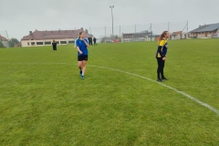 955aea9d-3fe8-4eed-84ad-9d49d3c4f7b6