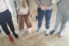 IMG_20230322_114236