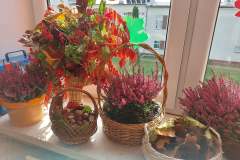 246210272_550469849390606_3777939852694943056_n