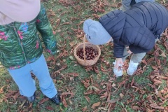 att.nnWRndR_sYK9rnwYR5l9TTzSTfBMFHvg6CM9Qq7Plg8