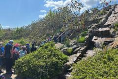 IMG-20260521-WA0050