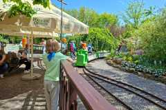 IMG-20260522-WA0028