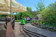 IMG-20260522-WA0030