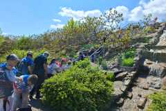 IMG-20260522-WA0033
