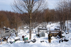 DSC_1977 (Kopiowanie)