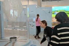 IMG_20231128_121116