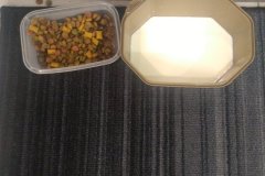 16115216675361878690569