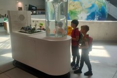 IMG20250605101648