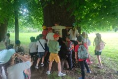 IMG20250605151043