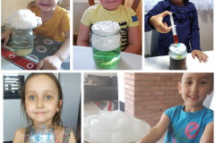 PhotoCollage25_05_2020_18_33_14