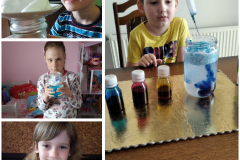PhotoCollage25_05_2020_18_35_08
