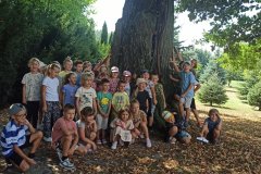 IMG_20240903_110805