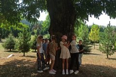 IMG_20240903_111238