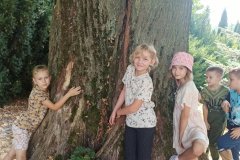 IMG_20240903_111623