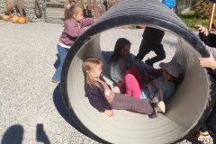 IMG20261002111052