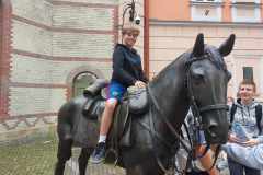 1f726a0c-4995-4175-bf78-b569cef3fa8c