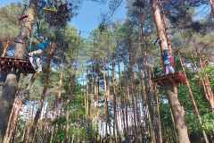 22cbf080-0a3c-4e66-9a5d-7b020cab922c