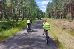 0ba6363d-4d6c-4b7e-95c5-0c7a714b076e