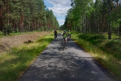 5db38170-5f6d-4c77-855d-58a9f4c80aee