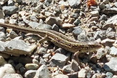 a3f8ec9b-113a-44e6-b894-be7ec1522410