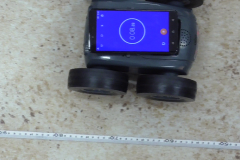 vlcsnap-2022-11-12-11h42m54s842