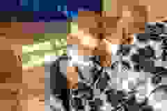 879eac46-e09c-4070-96eb-6fd1ac167676