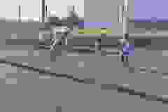 a7ff2655-23a7-4f12-a496-bb86c5b5c635