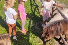IMG20250922105500