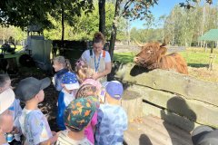 Messenger-creation-4EF1F96F-962F-484B-A392-23D800C6AC78