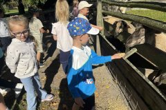 Messenger-creation-65189EA7-5775-4B6A-A218-C7C668F23EEE