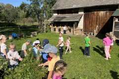 Messenger-creation-A2432997-8260-492E-9BDE-FAA940E120EE