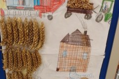 IMG_20251202_113805