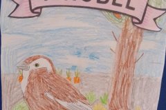 IMG_20251205_114842