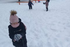 IMG20260109120338