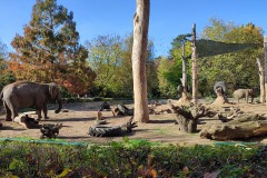 IMG_20221028_124120