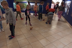 IMG_20220427_123253
