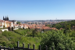 20190425_122445_resize