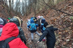 IMG_20211129_094354
