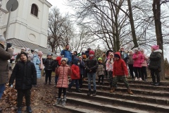 IMG_20211129_095342