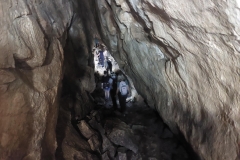 146b11ec-b543-460e-8e88-ff96d4169390