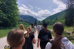 35c3eb53-781d-469a-9050-01e3638351b5