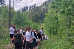 3a884ba6-e5ff-45ec-a8ff-44b3f15d578d