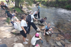 4224fe54-33d5-4fc0-b1f7-ab625c125d2c