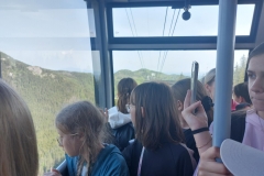 4493ff65-9dc5-4fa4-af5f-d431e889d95d